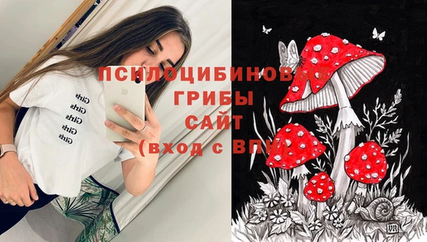 мдпв Абдулино