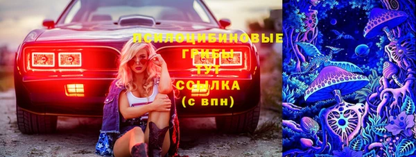 дмт Переславль-Залесский